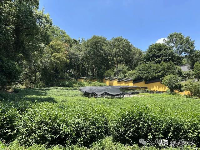 杭州印象·灵隐飞来峰