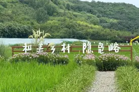 首届陕西魅力休闲乡村和陕西特色魅力田园推介名单公示 西安市鄠邑区石井街道栗峪口村等六处榜上有名图片