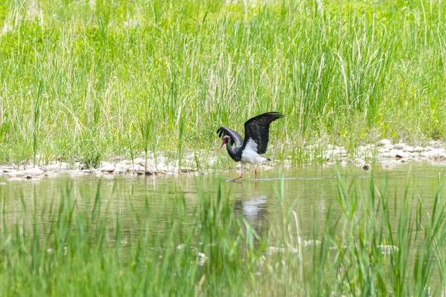 滦平，不普通！