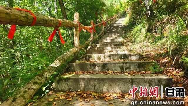 陇南徽县嘉陵江畔的秋日秘境