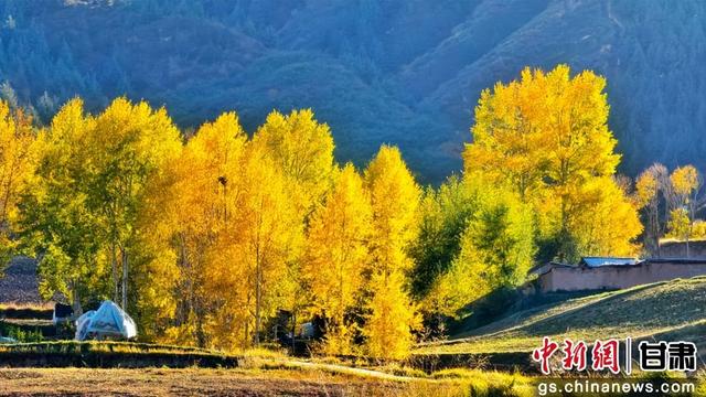 甘肃民乐：祁连山金色秋景如画卷