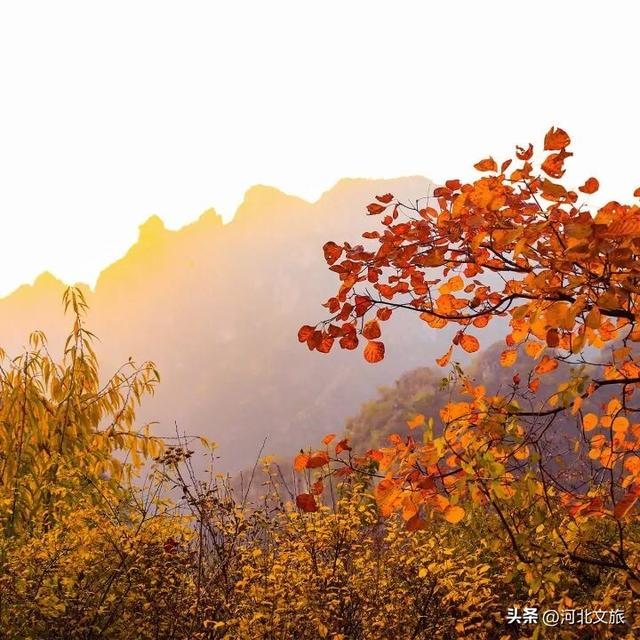 来一场"诗词"漫游记,邂逅诗词中的河北