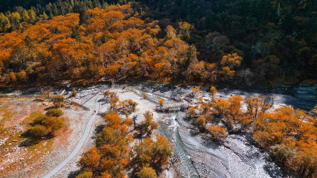 11月-12月，适合秋冬季节自驾的7条线路，藏着不少好风景