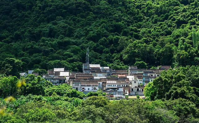 福建有个避世古村，远离喧闹的城市，景美人少、非常安逸