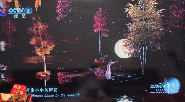 央视秋晚：蒋欣惊艳的不止脸，毛不易留遗憾，谢娜是大赢家