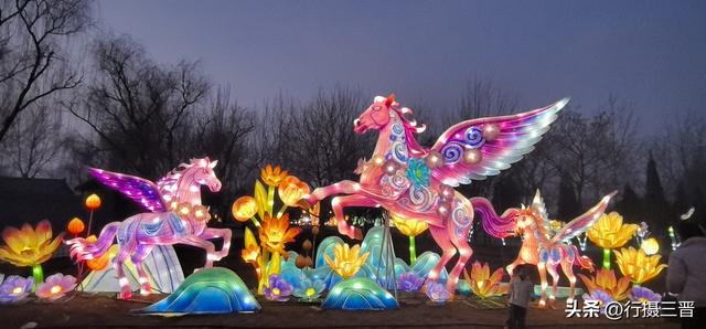 舜帝花海——邂逅一场别具一格的视觉盛宴