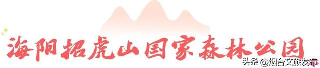 【乐游烟台】被问爆的的烟台登山好地！后悔没早来！