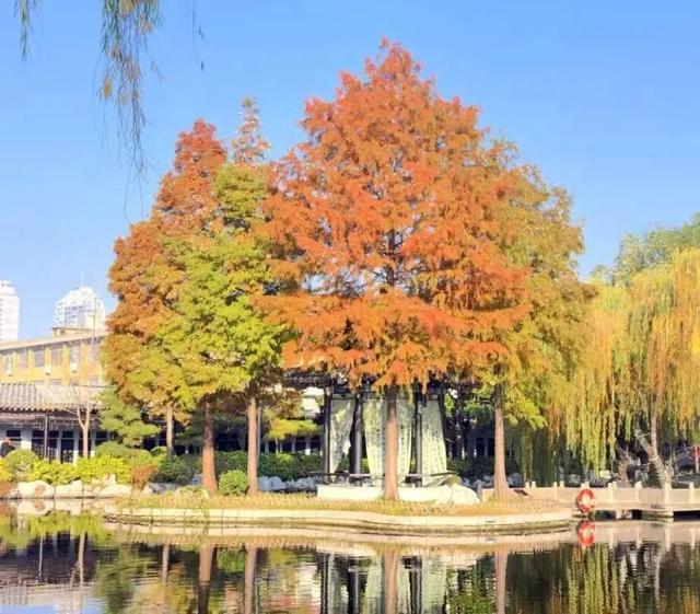 临沂初冬“热”出圈！打卡攻略赶紧码