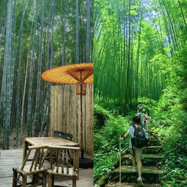双节遇国宝，运城 “潮” 好玩 | 中秋国庆必看！芮城文旅活动攻略一键 get！