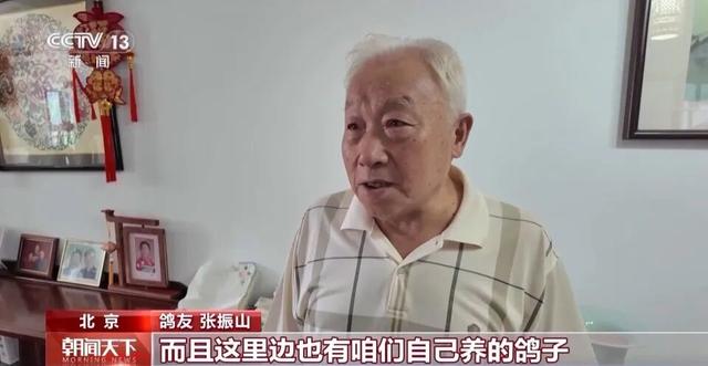 九三阅兵8万只和平鸽都已回家，一鸽友称40只鸽子参与阅兵：最快20分钟回家，回归率100%