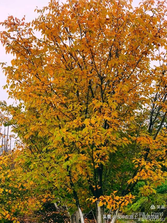 骑行汉江边,穿越千年古道,游览汉江第一坝!