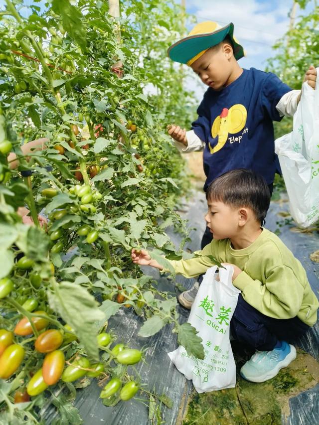 甜甜甜!“保姆级”采摘攻略!周末就出发→
