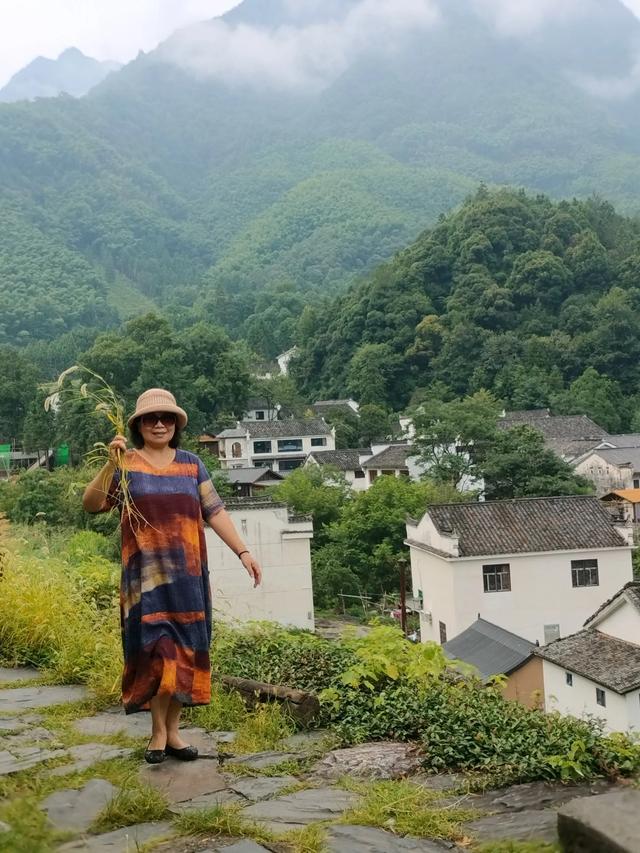 牯牛降半日禅（三）：白石岭篇