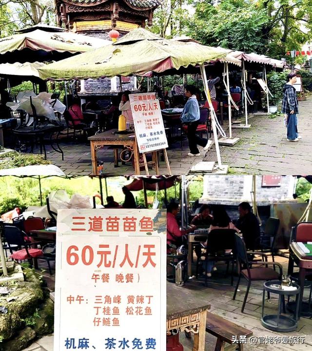 成都周边游，三道堰寻味苗苗鱼，真鲜美