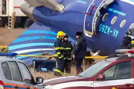 阿塞拜疆总统被阿交通部打脸！E190客机空难也“没鸟事”图片