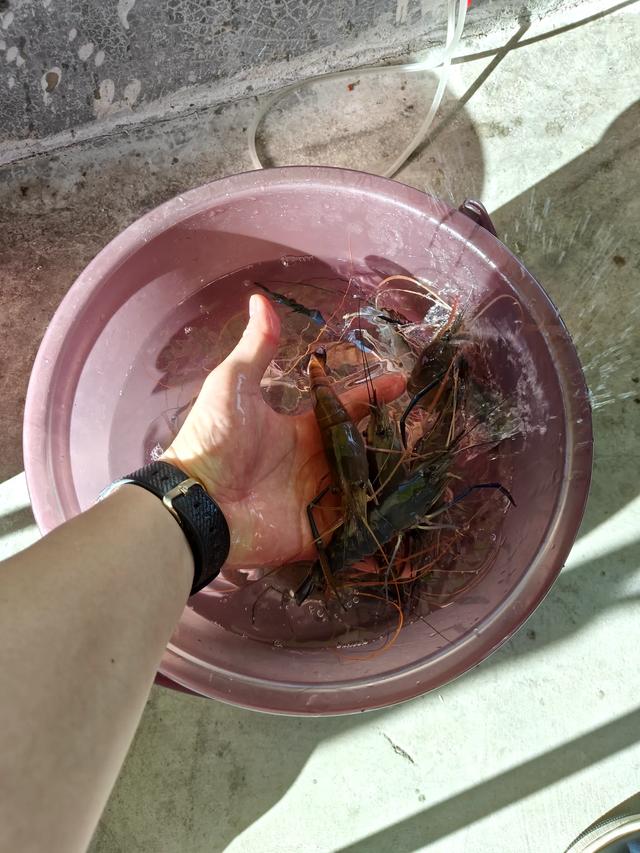 七夕遇“驾”，昊铂车友共赴露营钓虾之约