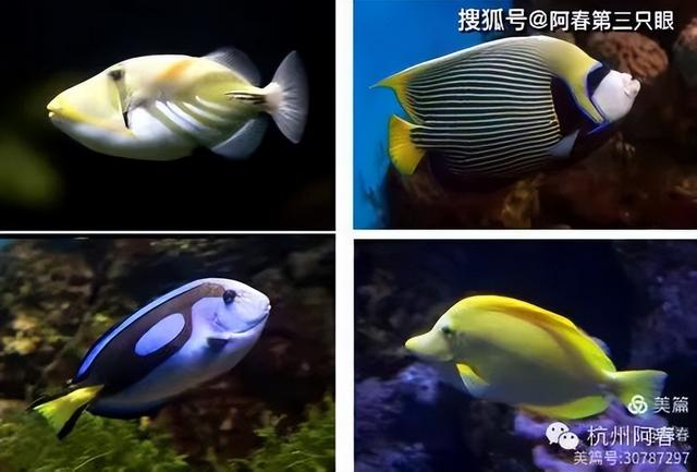 大连 之海洋世界
