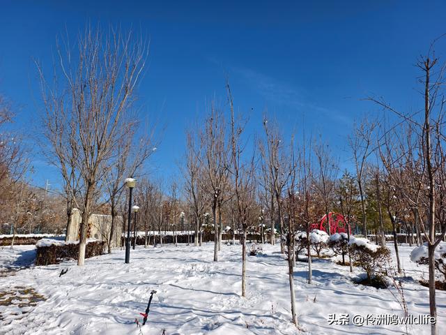新疆乌鲁木齐红光山大佛寺