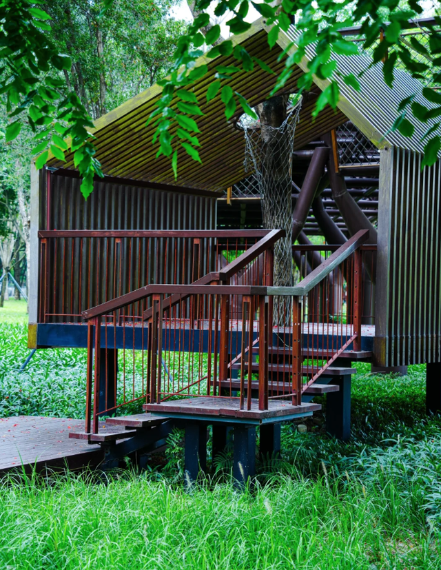 深圳又一生态长廊爆红，被称为现实版“魔法森林”，适合徒步遛娃