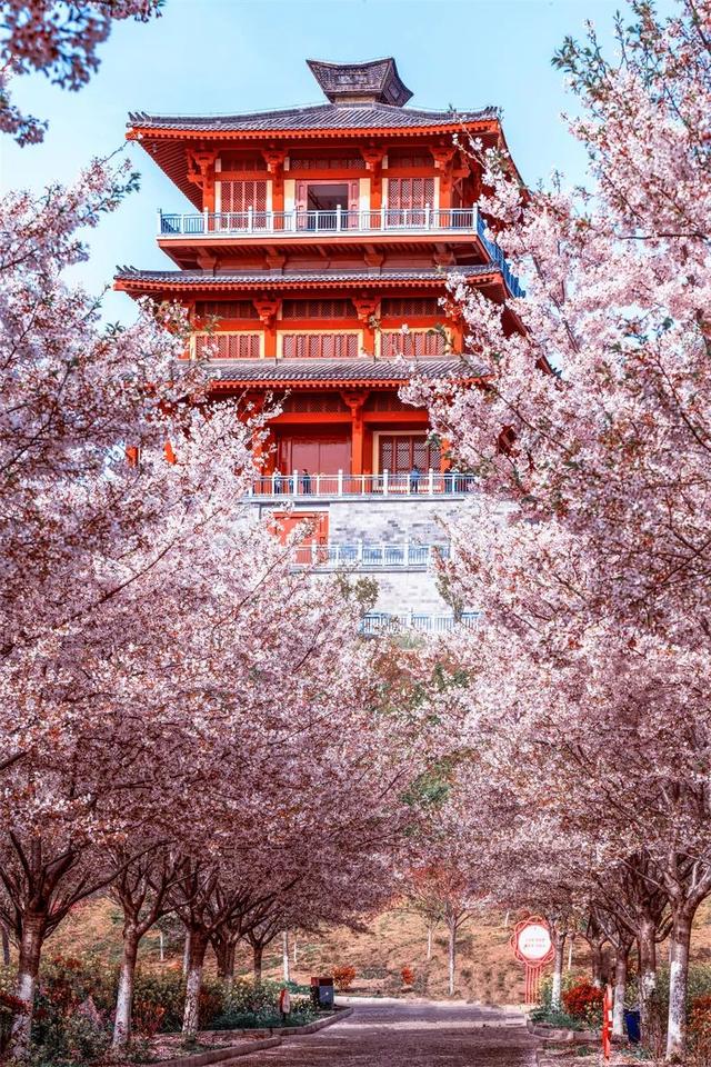 2025年最新8大宜居健康城市，倘若择一城终老，退休你会去哪里？