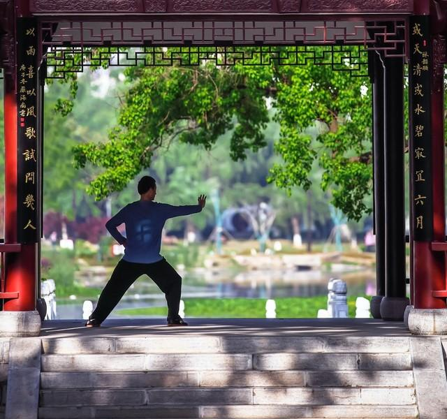 瑜伽练外，太极调内？优缺点讲透，选对不踩坑