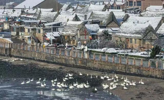 别再说山东没地方玩了！这几个古村够你玩整个冬天！