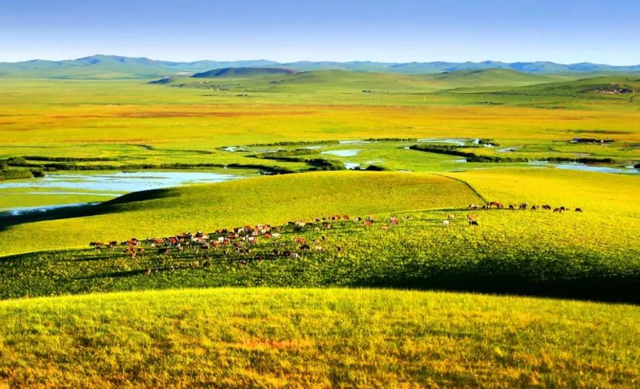 乐游内蒙古丨锡林郭勒风光好 精彩旅程乐不休