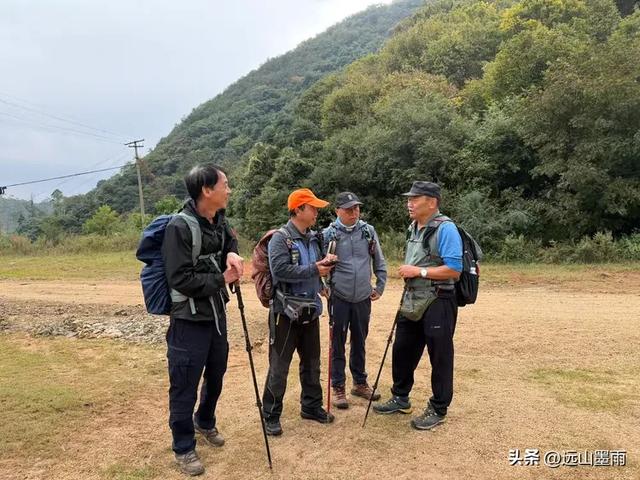 徒步武定香水箐，赏野草香飘、听溪流淙淙，徜徉绿水青山中，惬意