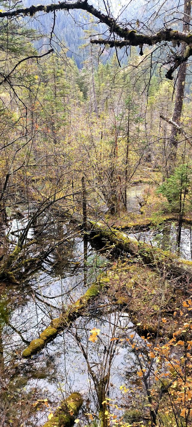 神仙池（一）竖幅