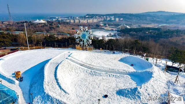 除了海，大连冬日“顶流”竟然是它们？