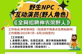 神农架日薪500元招“野人”！野性十足、压力大、想找地方发呆者优先图片