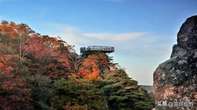 哈尔滨后花园：探秘黑龙江金龙山国家森林公园