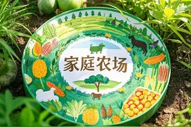 手把手教你申请家庭农场！政策补贴10万元，轻松实现农业创业梦图片