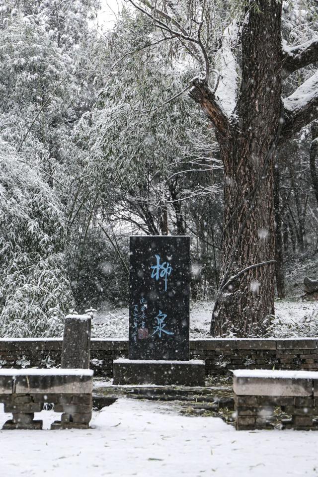 接下来的淄博，「冬日隐藏副本」藏不住了！