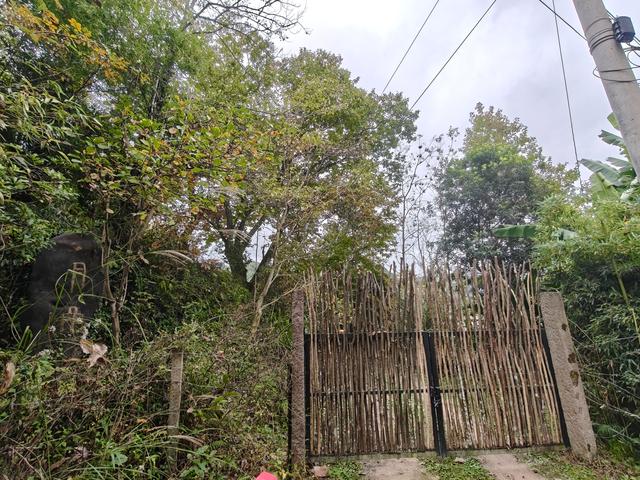 仙居县谷坦水库环线走，半山深处藏人家，依山傍水远繁华