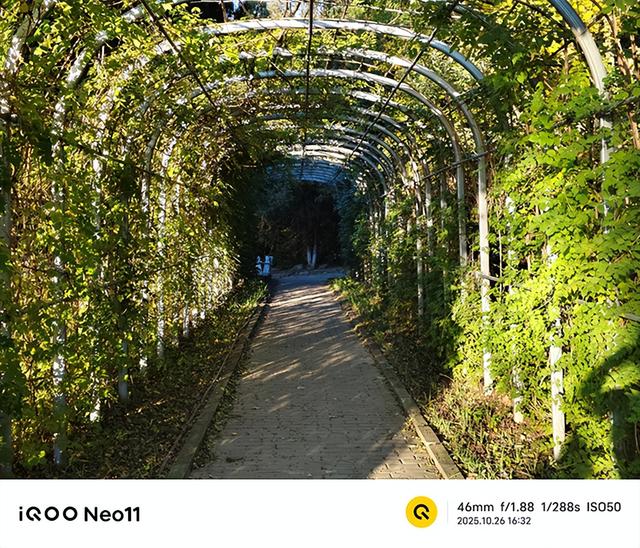 中端定价旗舰体验 双芯合璧性能越级 iQOO Neo11评测