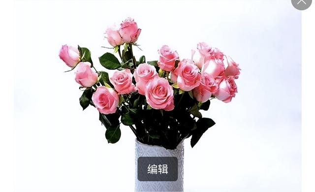 相遇一场，思念一生，入了心的你，怎能轻易忘记？