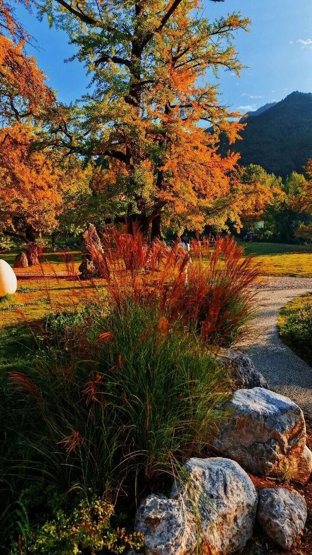 藏不住了！嘉陵镇这份治愈系美景，承包你所有的诗和远方～