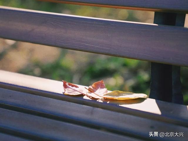 秋色落幕ing～来北臧辞秋迎冬