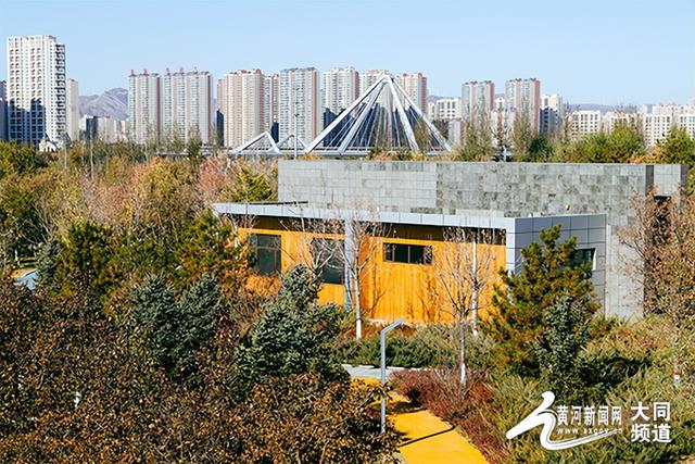 黄花公园秋意深 游客笑语映秋云