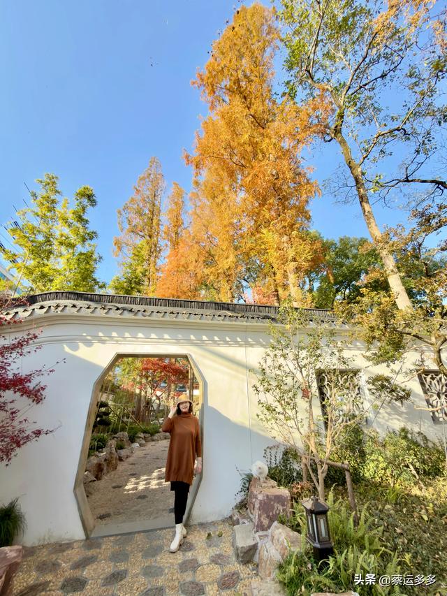 沪上园林古猗园已达颜值巅峰