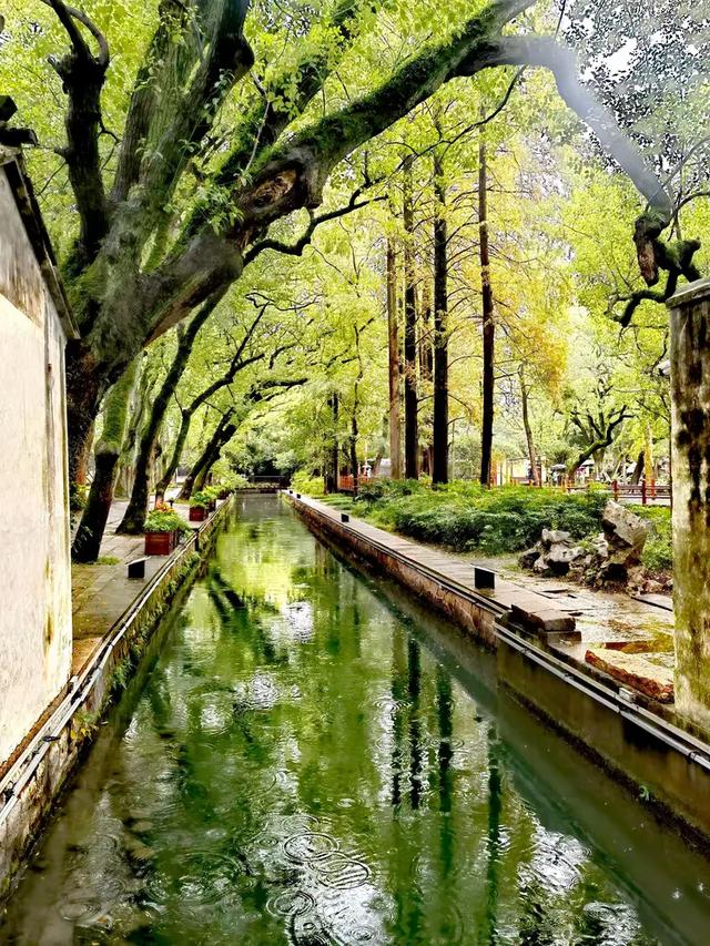 相约在湖州,相聚在梦萦——记原福空医院老战友2025年湖州行