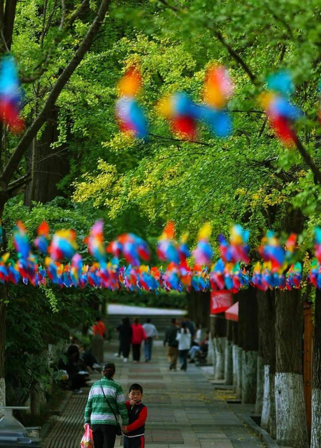 14个免费公园遛娃全攻略：看猴、玩水、露营、徒步一次集齐！速藏