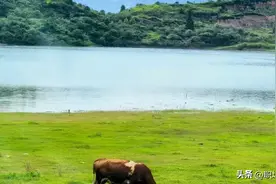 10组干部考察谈话优缺点评价素材图片