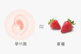 每周须知｜孕11周，准妈妈要知道这几件重要的事图片