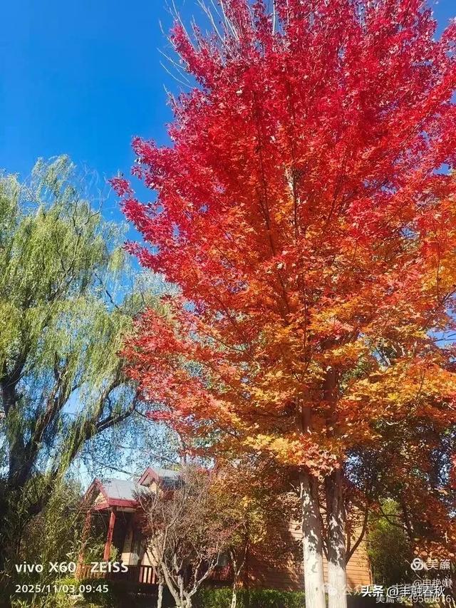 青岛即墨马山寻趣：一座地质公园的秋日私语｜申艳娟