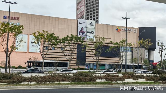 《初冬诗画，花桥地铁畔向日葵之约》