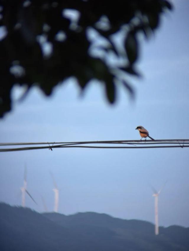 6月，谁说天空一无所有？(下)