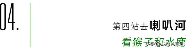 常被路过的雅安，值得专门去玩一趟