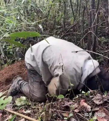 热议丨荒野求生5名选手血钾超标，这是哪些因素造成的？有何影响